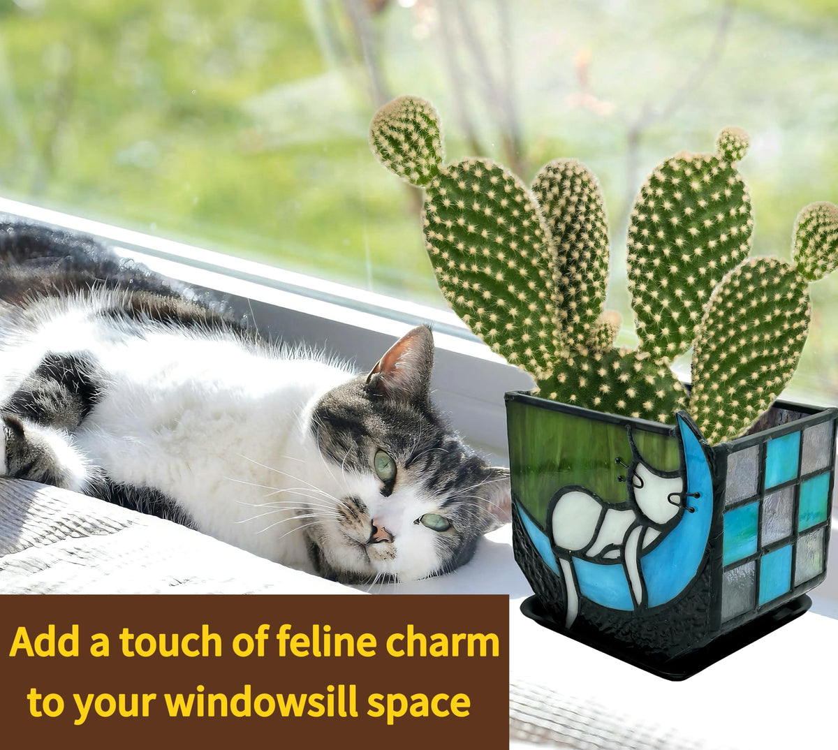 Entlityful blue moon design planter suits small plants like succulents.