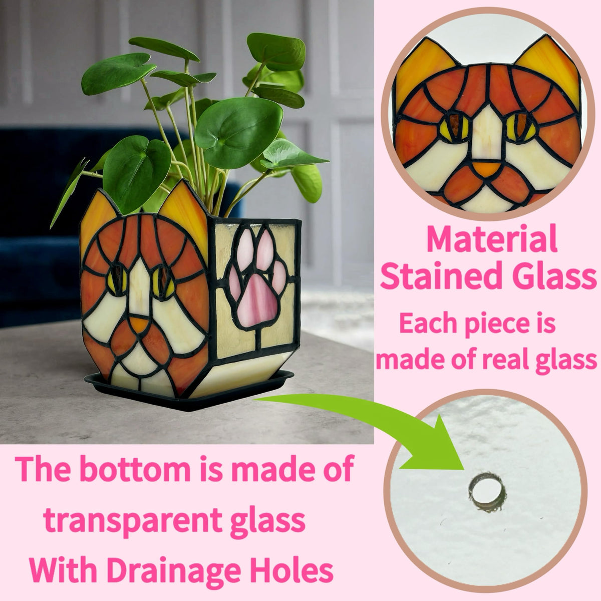 Entlityful cat plant gift offers unique charm for plant lovers.