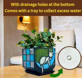 Entlityful cat planter on dining table display for charm and greenery.