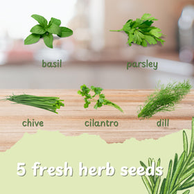 Environet burlap pots in use for stylish indoor herb gardening.
