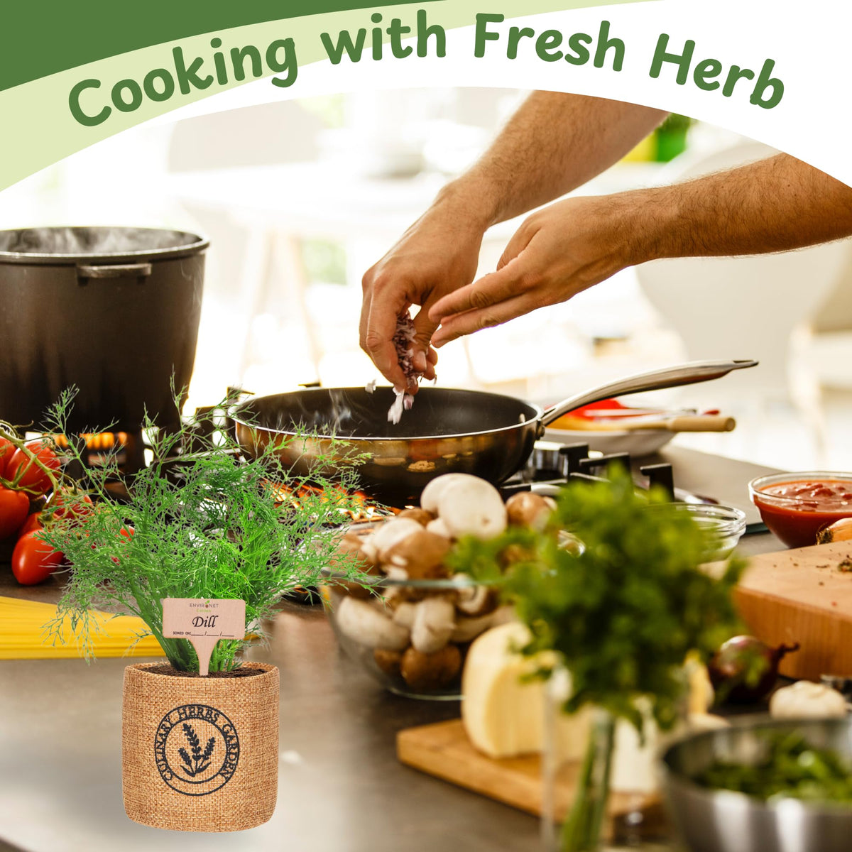 Environet seeds and soil inside, high germination for lush herbs.
