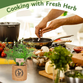 Environet seeds and soil inside, high germination for lush herbs.
