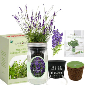 Environet self-watering mason jar demonstrates clean, low-mess indoor growing