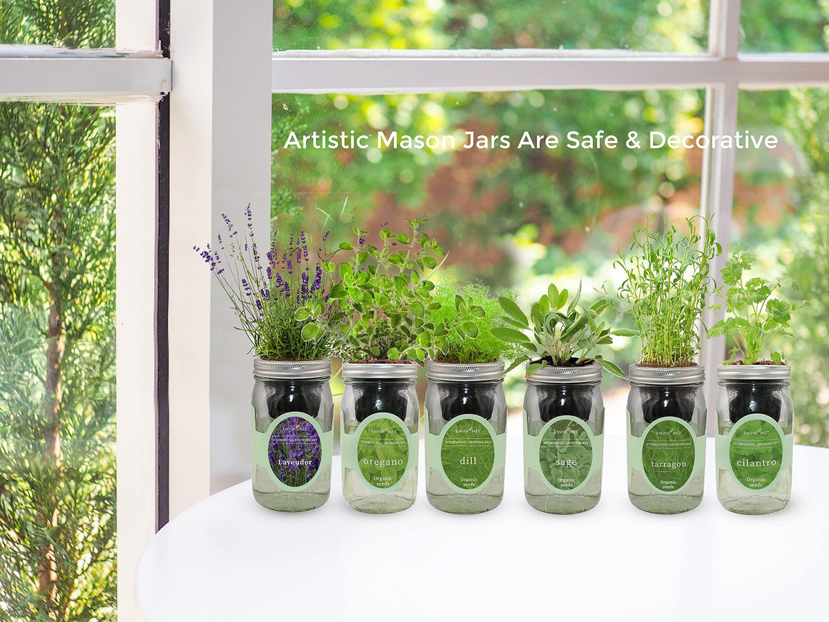 Environet windowsill herb garden setup for fresh kitchen greens