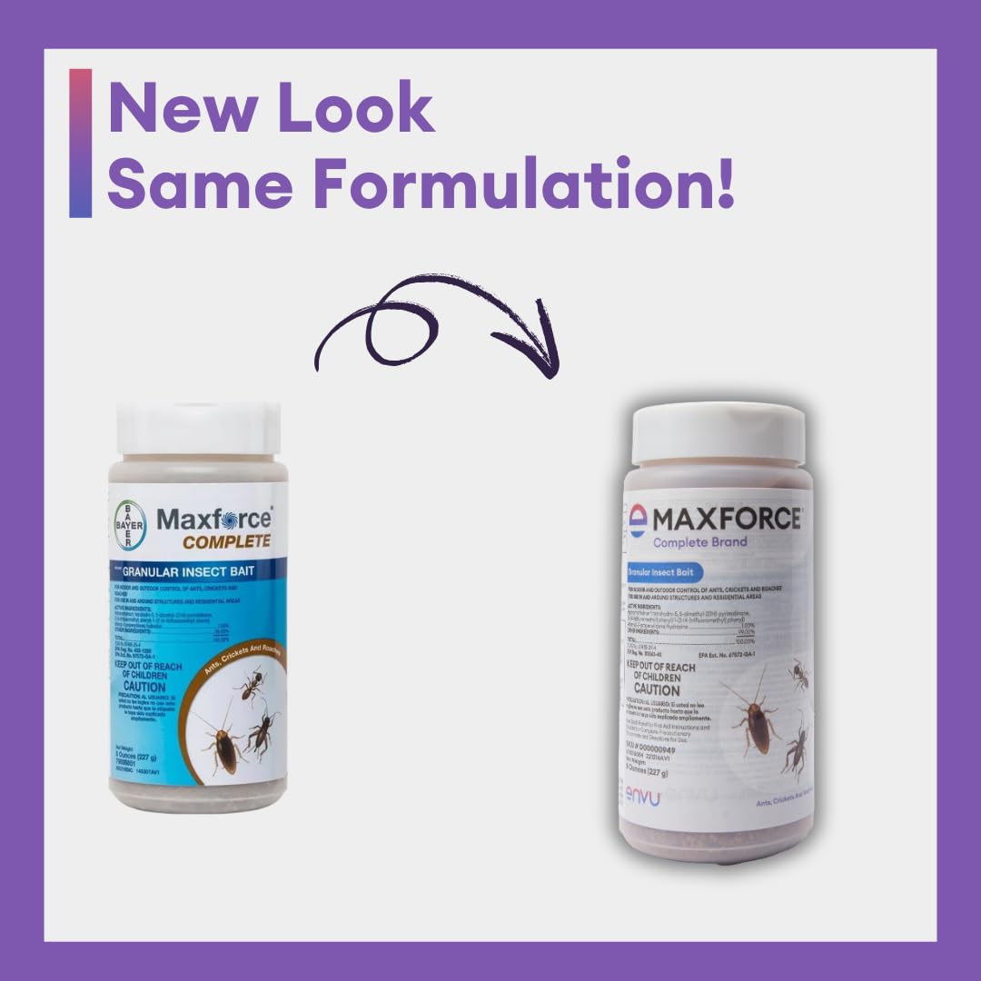Envu Maxforce granular bait spread along foundation to deter foraging ants.