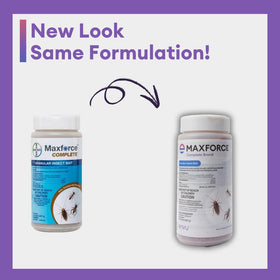 Envu Maxforce granular bait spread along foundation to deter foraging ants.