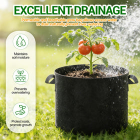 EOKOICA grow bag highlights air pruning for healthier roots.