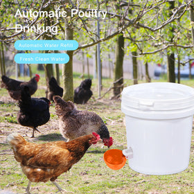 EOKOICA easy-clean cups simplify coop maintenance after feeding