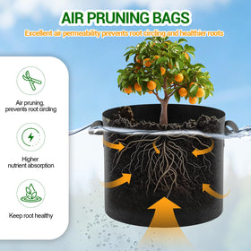 EOKOICA versatile design suitable for outdoor and indoor gardening.