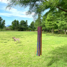 EONBES two-sided bright colors windsock is visible from multiple angles