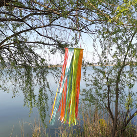 EONBES satin windsock light orange double-sided adds cheerful charm to patios.