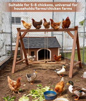 EOWOAN bars in coop provide quiet enclosure without crowding