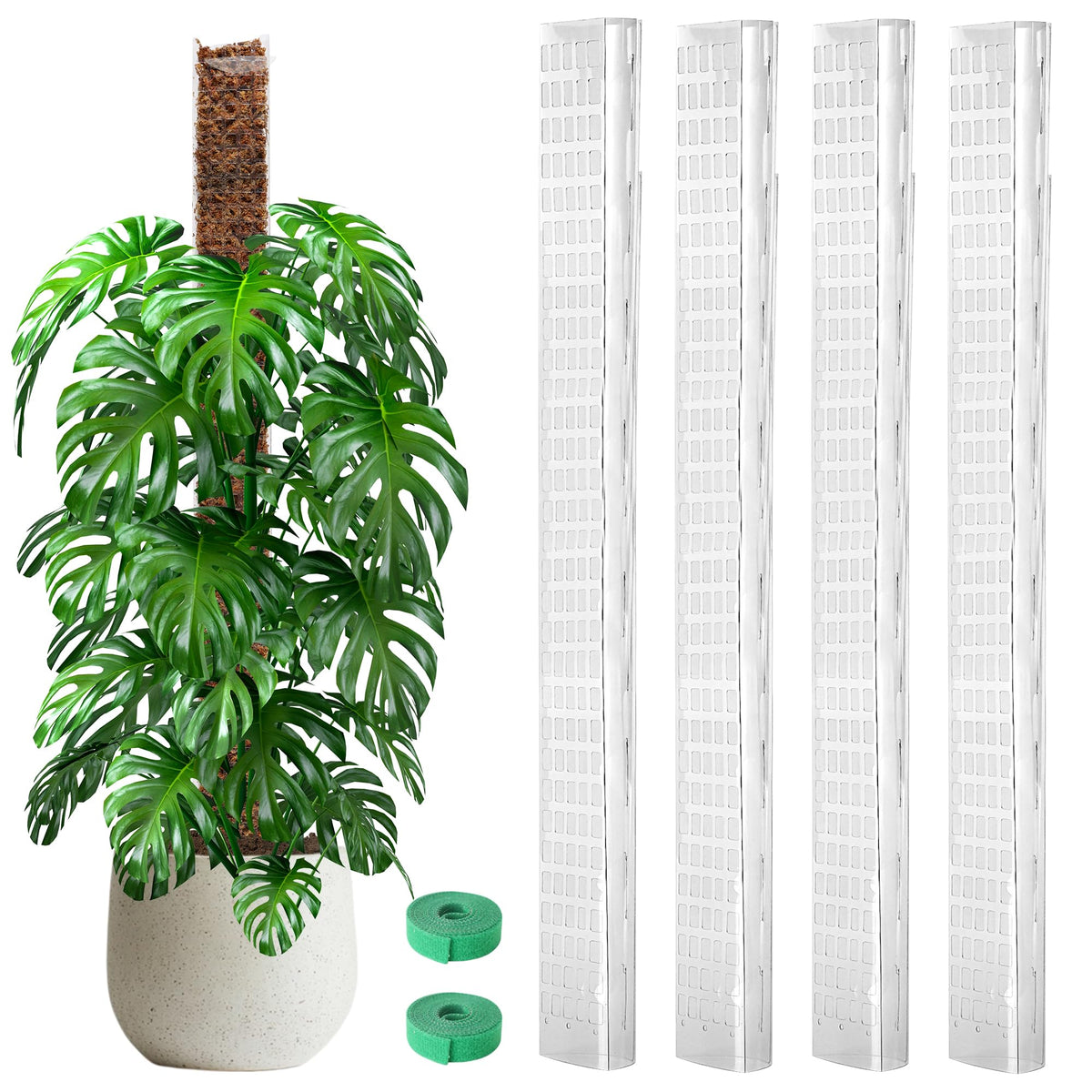 EOX 48-inch D-shaped moss pole assembly supports climbing Monstera with a sturdy flat surface