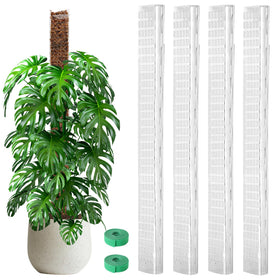 EOX 48-inch D-shaped moss pole assembly supports climbing Monstera with a sturdy flat surface