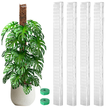 EOX 48-inch D-shaped moss pole assembly supports climbing Monstera with a sturdy flat surface