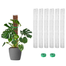 EOX 6-pack 24-inch plastic moss poles for Monstera support and upward growth.