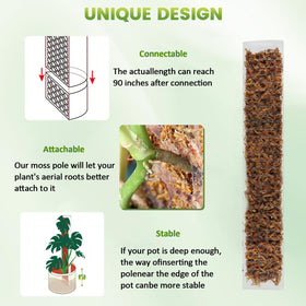 Using sphagnum moss with EOX pole provides moisture and nutrients for climbers