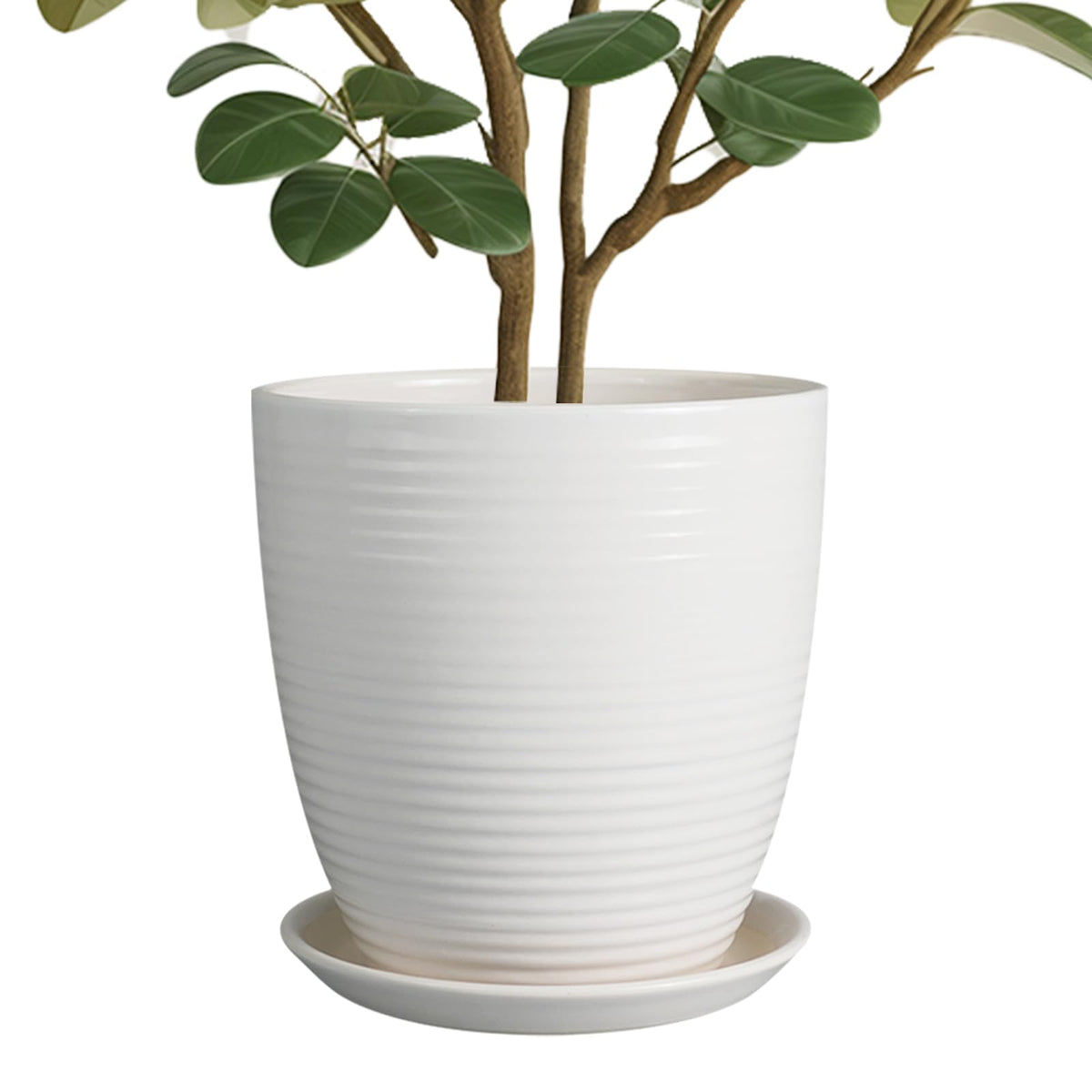 EPFamily 10-inch ceramic planter pot white front view ideal for modern interiors.