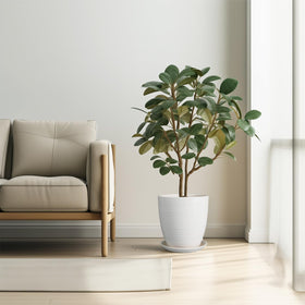 EPFamily 10-inch ceramic planter glaze detail showing smooth white finish.