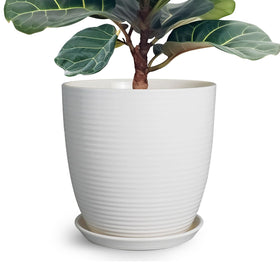 EPFamily 12-inch ceramic planter white in full view for stylish indoor display.