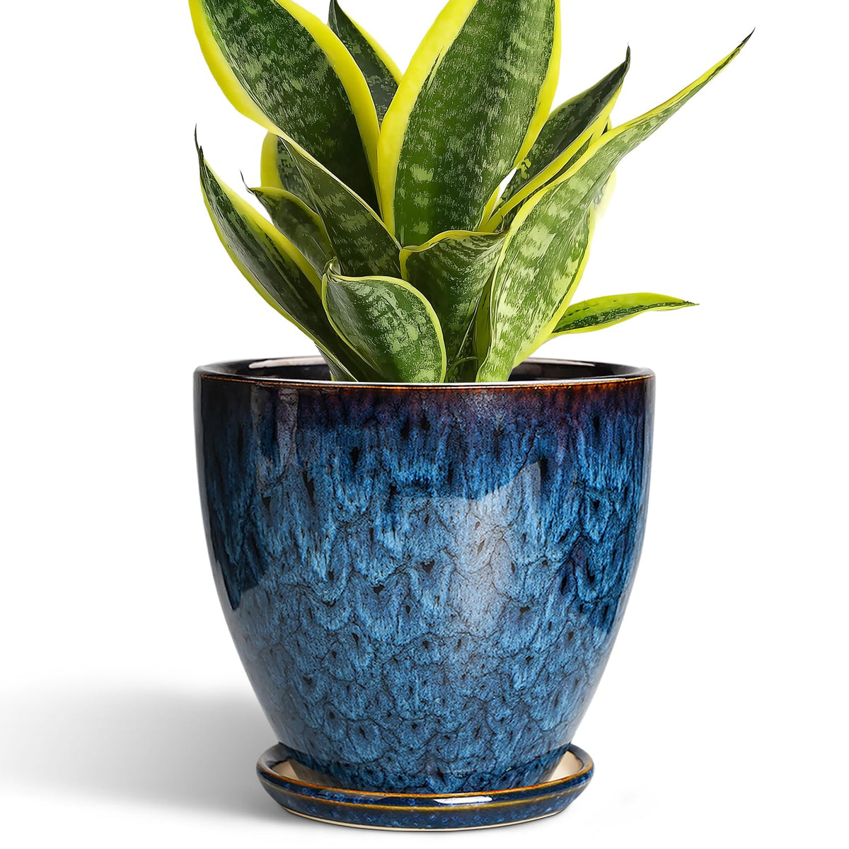 EPFamily 6inch plant pot with blue glaze enhances indoor decor and promotes healthy root airflow