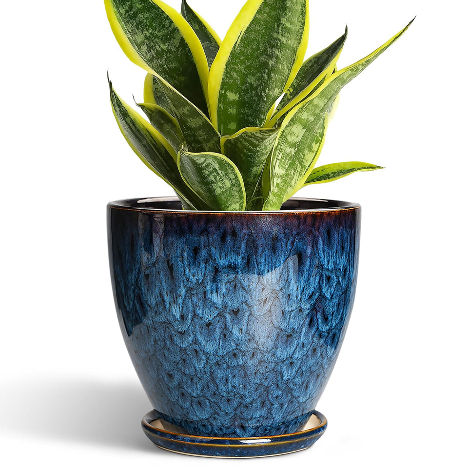EPFamily 6inch plant pot with blue glaze enhances indoor decor and promotes healthy root airflow