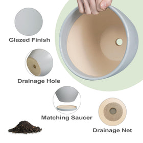 EPFamily 8-19-inch pot fits desks and shelves with room to grow.