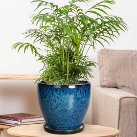 EPFamily blue planter close-up showing drainage hole for proper watering