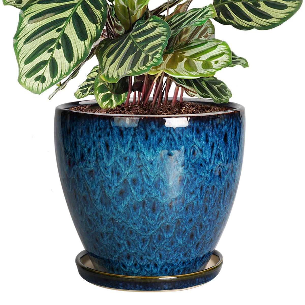 EPFamily 8-inch blue ceramic planter front view with saucer to keep surfaces tidy