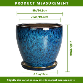 EPFamily 8-inch planter on indoor table showcases compact size for desks