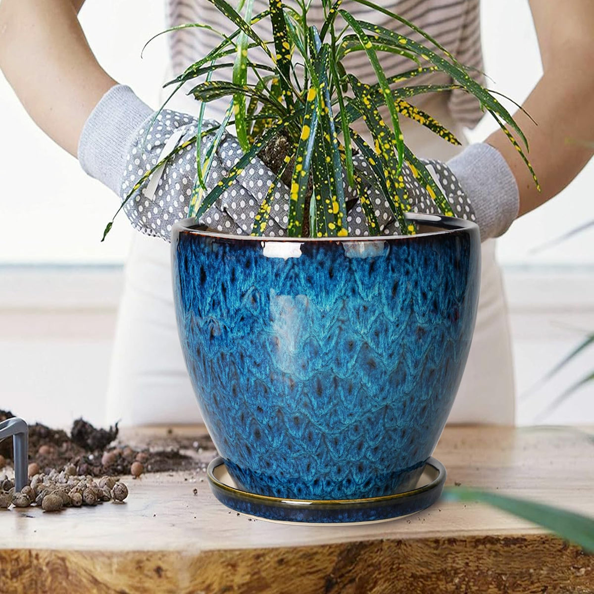 EPFamily blue planter with monstera demonstrates stylish indoor plant display