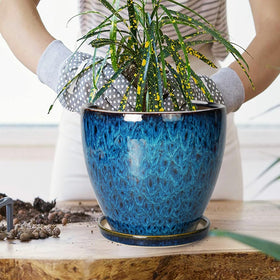 EPFamily blue planter with monstera demonstrates stylish indoor plant display