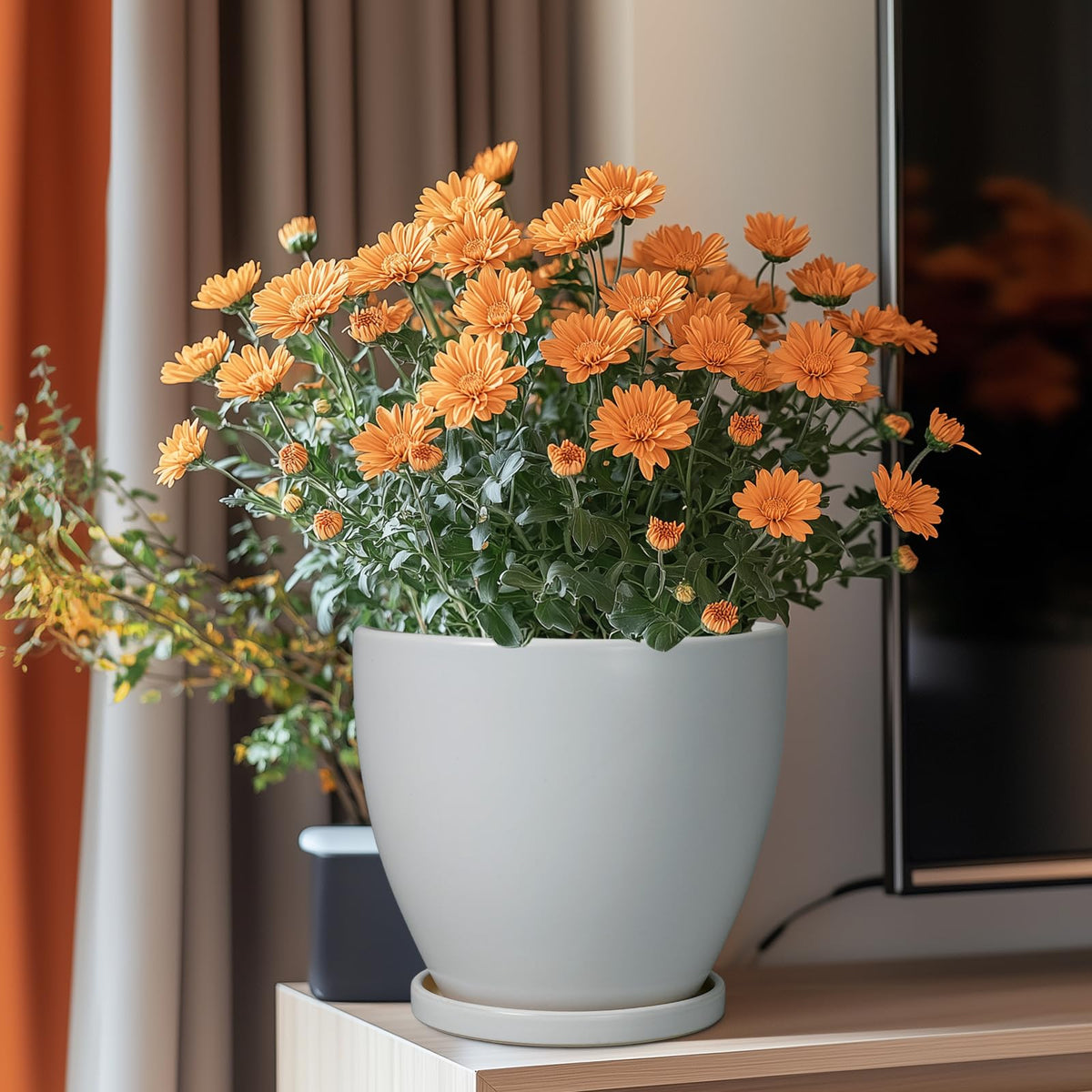 EPFamily 8-inch planter modern design for stylish indoor decor.