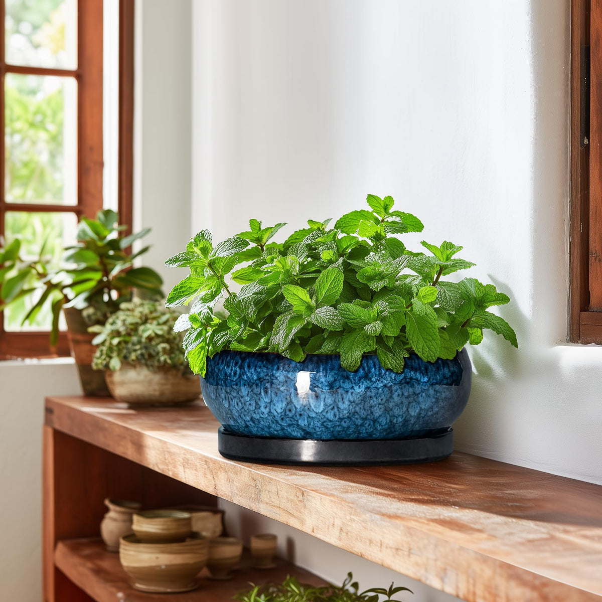 EPFamily Bonsai Pot blue decor enhances desk and shelf styling