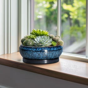 EPFamily Bonsai Pot blue saucer set keeps surfaces neat