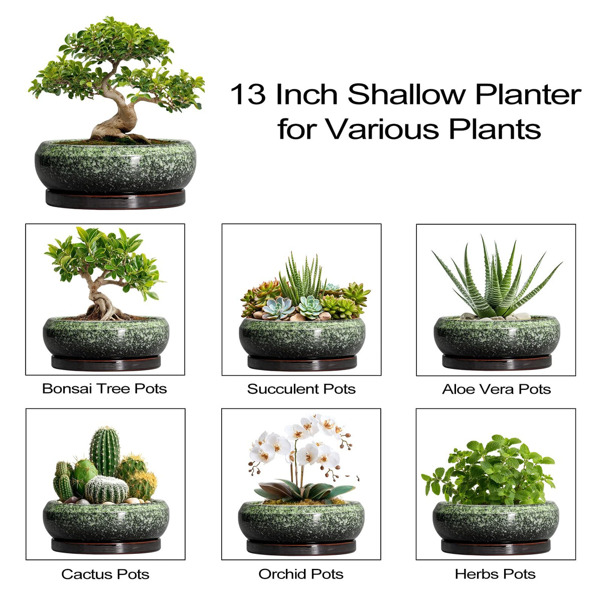 EPFamily Bonsai Pots green ceramic planter that enhances any living space.