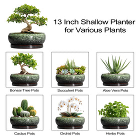 EPFamily Bonsai Pots green ceramic planter that enhances any living space.