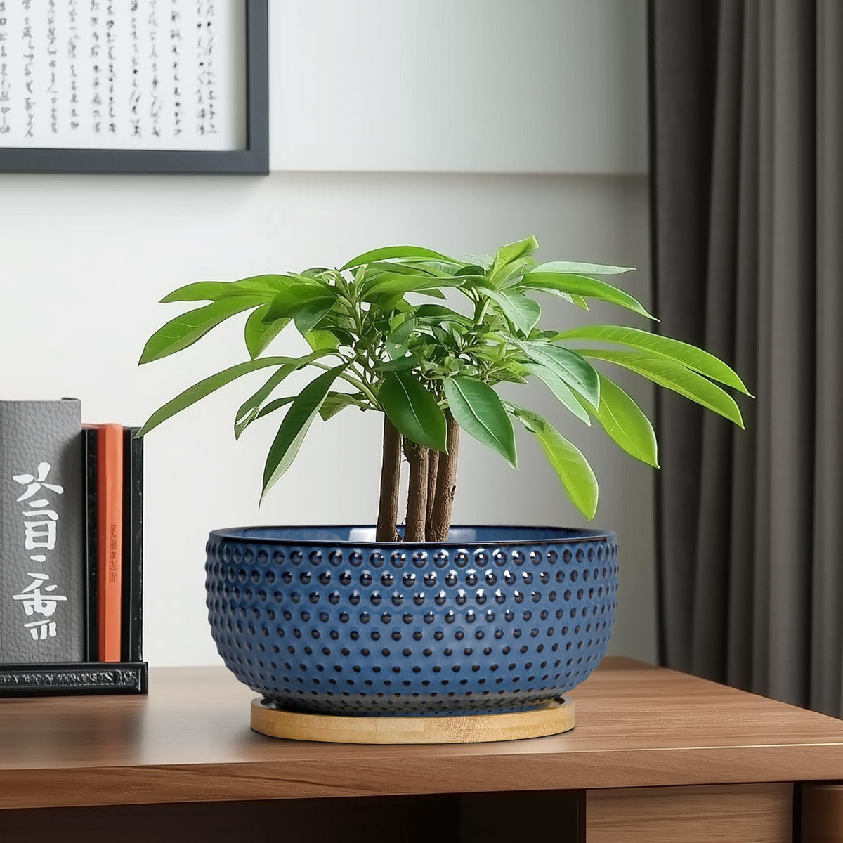 EPFamily Bonsai Pots blue color makes a thoughtful housewarming gift