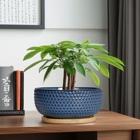 EPFamily Bonsai Pots blue color makes a thoughtful housewarming gift