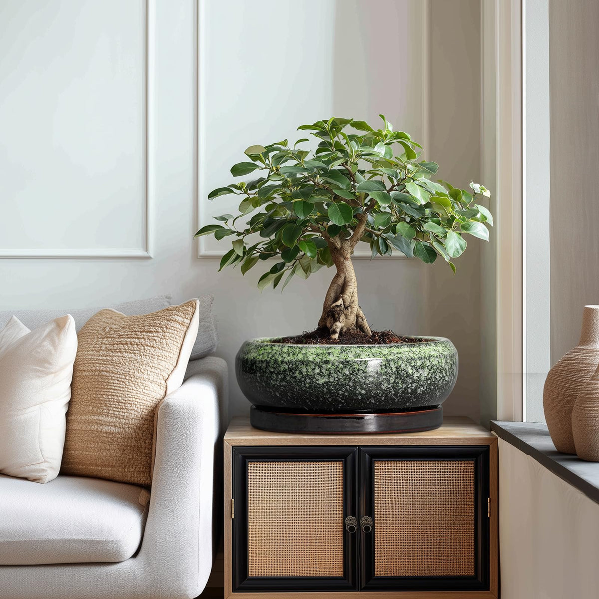 EPFamily Bonsai Pots gift-ready planter for housewarmings and celebrations.