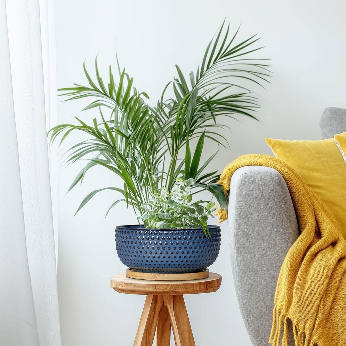 EPFamily Bonsai Pots suited for indoor gardens and balcony setups