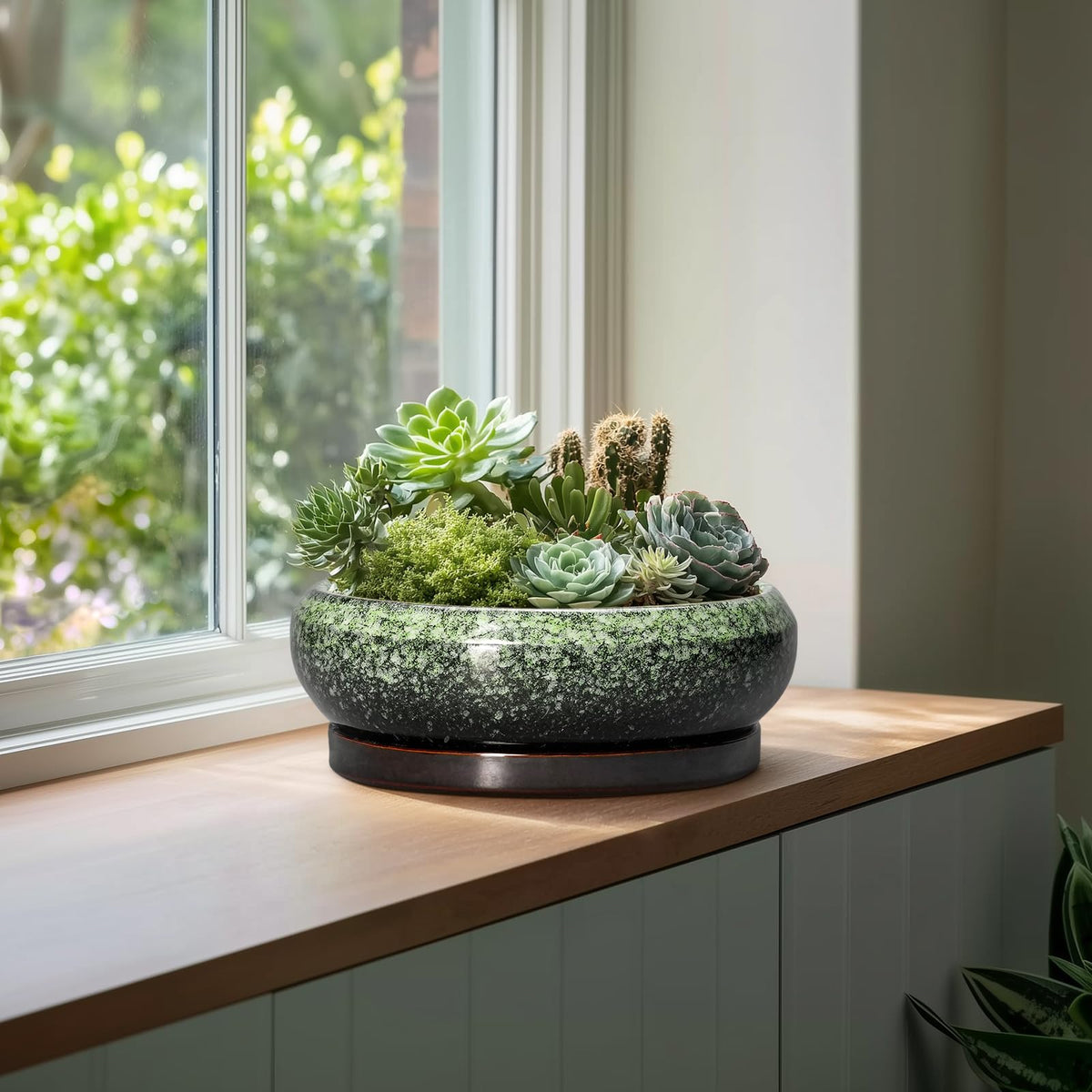 EPFamily Bonsai Pots indoor outdoor use; display on shelves or patios.