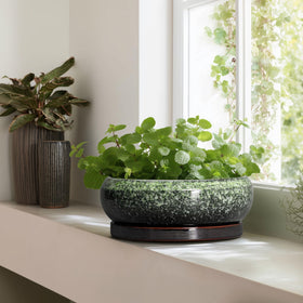 EPFamily Bonsai Pots large planter for bonsai, orchids, and herbs.