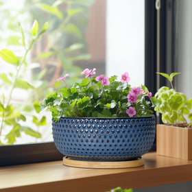 EPFamily Bonsai Pots premium ceramic finish for lasting indoor use