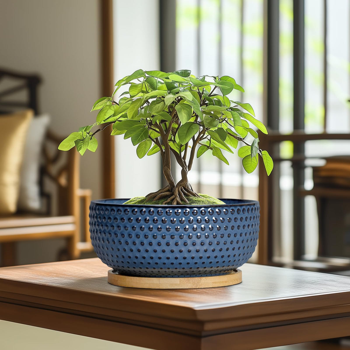 EPFamily Bonsai Pots close-up of textured dot pattern for modern decor