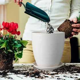 EPFamily ceramic planter tray saucer catches drips and keeps surfaces clean.