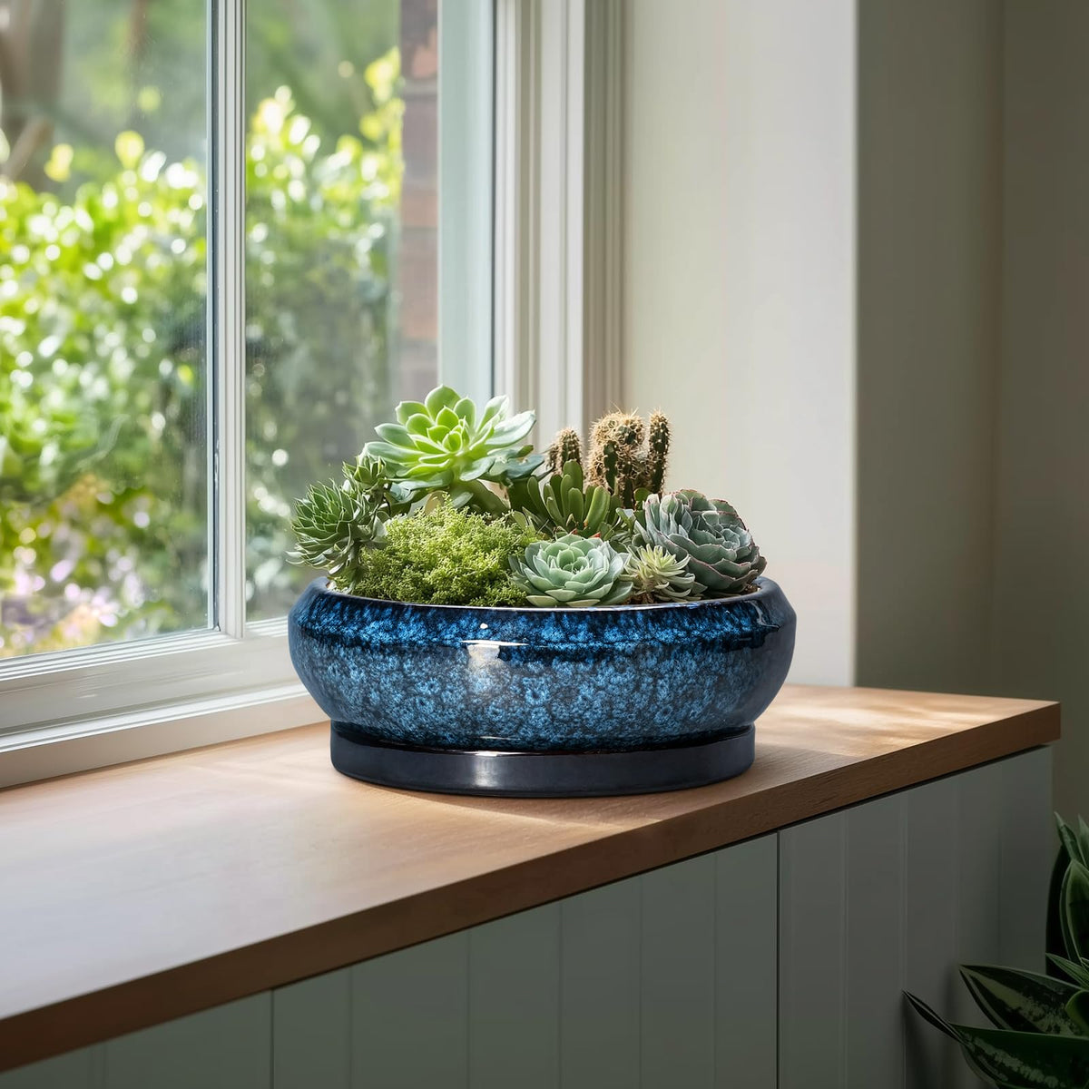 EPFamily ceramic saucer included to keep surfaces neat