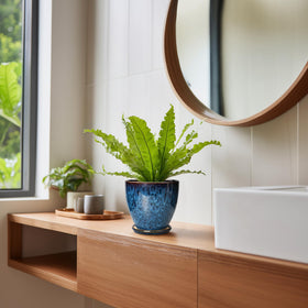 EPFamily gift-worthy plant pot for plant lovers on holidays