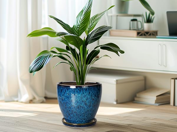 EPFamily gift-ready blue planter with saucer ideal for plant lovers