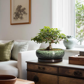 EPFamily Gift-Ready Ceramic Pot – a thoughtful present for plant lovers.